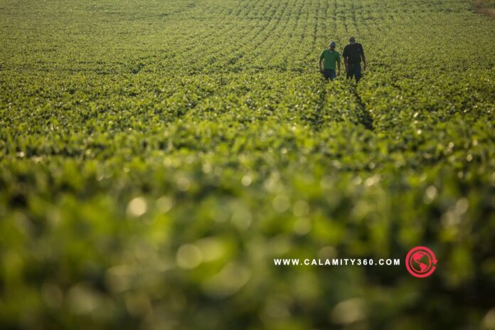 7 Ways Farmers Can Boost Yields While Protecting the Planet