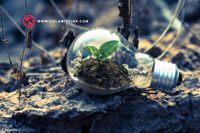 How to Reduce Your Carbon Footprint at Home