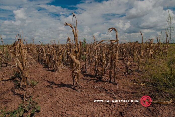 Top 5 Actions That Make a Real Impact on Climate