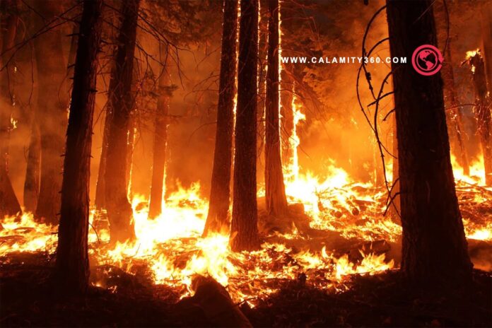 8 Wildfire Myths That Put Lives at Risk