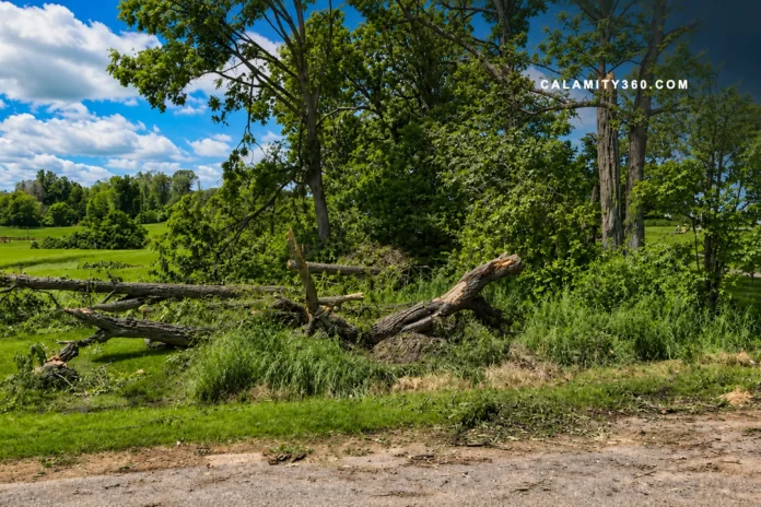 EF1 Tornado Leaves Trail of Damage Across Yates County