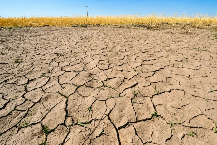 NOAA Sounds Alarm as Dangerous El Niño Strengthens Rapidly